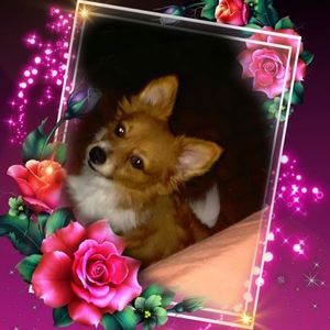 Meet your Posher, Yolanda